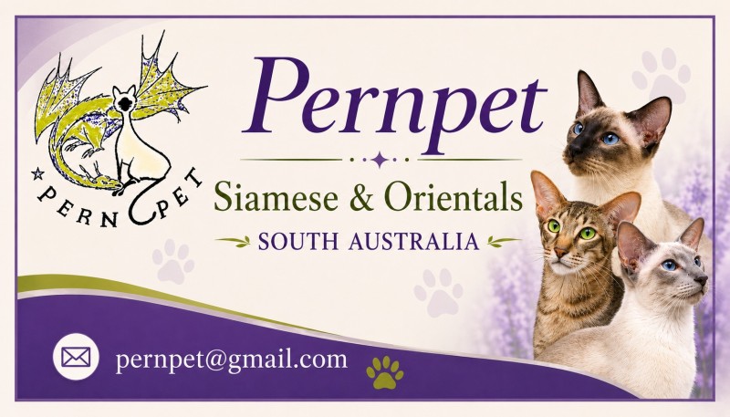 Oriental PERNPET