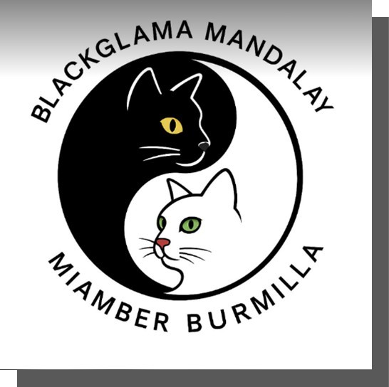 Burmilla & Burmese MIAMBER