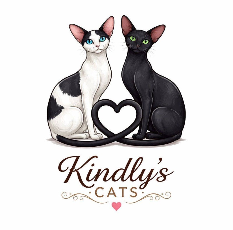 Oriental & Siamese KINDLYS