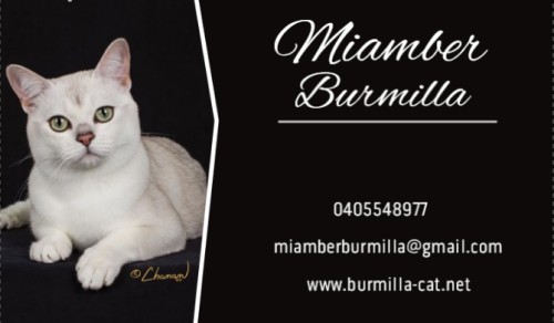 Burmilla MIAMBER