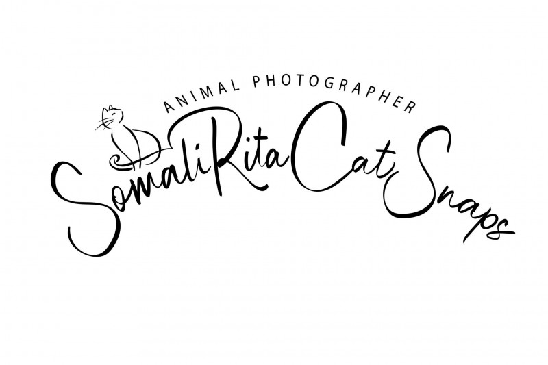 SomaliRita CatSnaps Photography