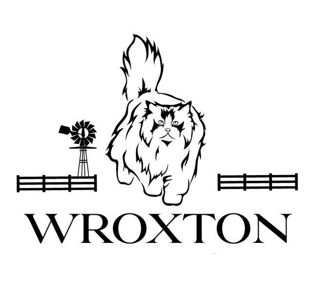 Ragdoll & British Longhair WROXTON 